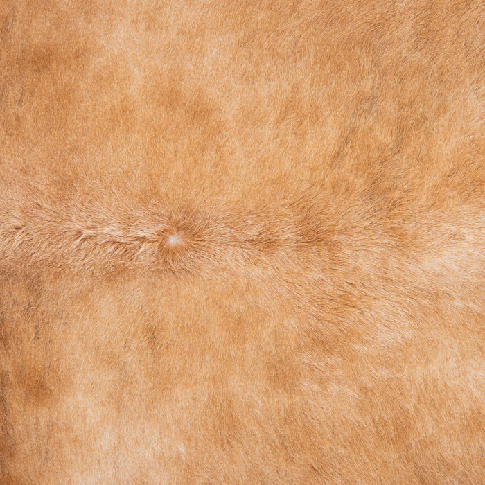 Brazilian Brown Cowhide Rug Size 8'8" L x 8'1" W 3798