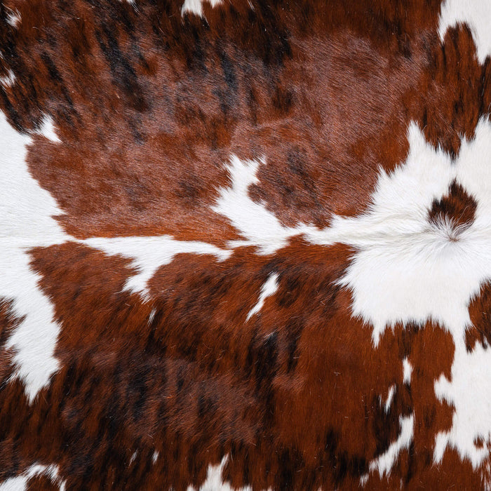 Tricolor Cowhide Rug Size 8'0" L x 7'7" W 6543