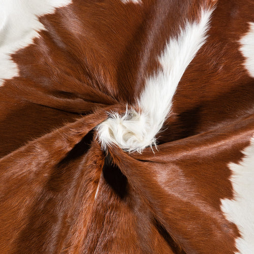 Brazilian Hereford Cowhide Rug Size 7'9" L x 7'4" W 6701