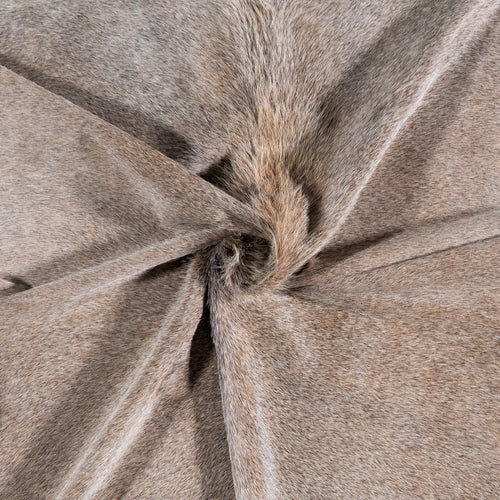 Brazilian Grey Palomino Cowhide Rug Size 7'1" L x 5'6" W 6913