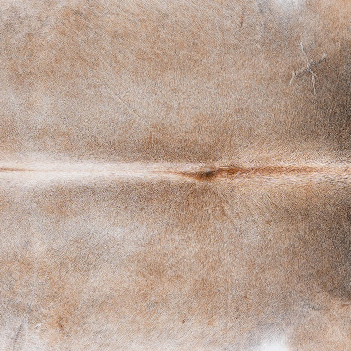 Brazilian Grey Palomino Cowhide Rug Size 7'7" L x 6'10" W 6919