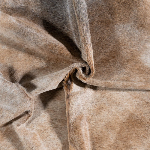 Brazilian Grey Palomino Cowhide Rug Size 7'3" L x 6'7" W 6923