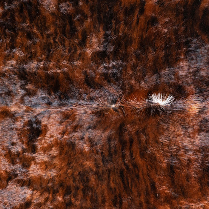 Brazilian Brindle White Belly Cowhide Rug Size 6'10" L x 5'9" W 6944