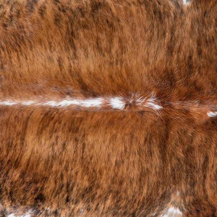 Brazilian Brindle White Belly Cowhide Rug Size 7'7" L x 6'9" W 6948
