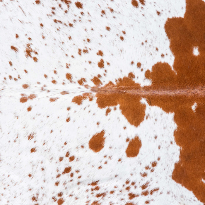 Brazilian Brown and White Cowhide Rug Size 6'9" L x 6'8" W 6988