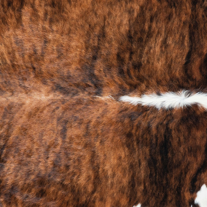Brazilian Brindle White Belly and Backbone Cowhide Rug Size 8'0" L x 6'7" W 7103