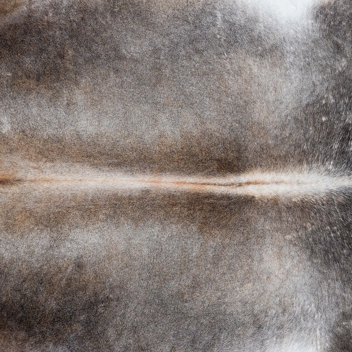 Brazilian Grey Palomino Cowhide Rug Size 8'1" L x 6'10" W 7110