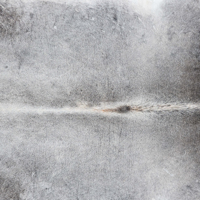 Brazilian Grey Cowhide Rug Size 6'9" L x 5'7" W 7350
