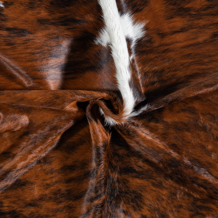 Brazilian Brindle White Belly and Backbone Cowhide Rug Size 7'5" L x 6'11" W 7411