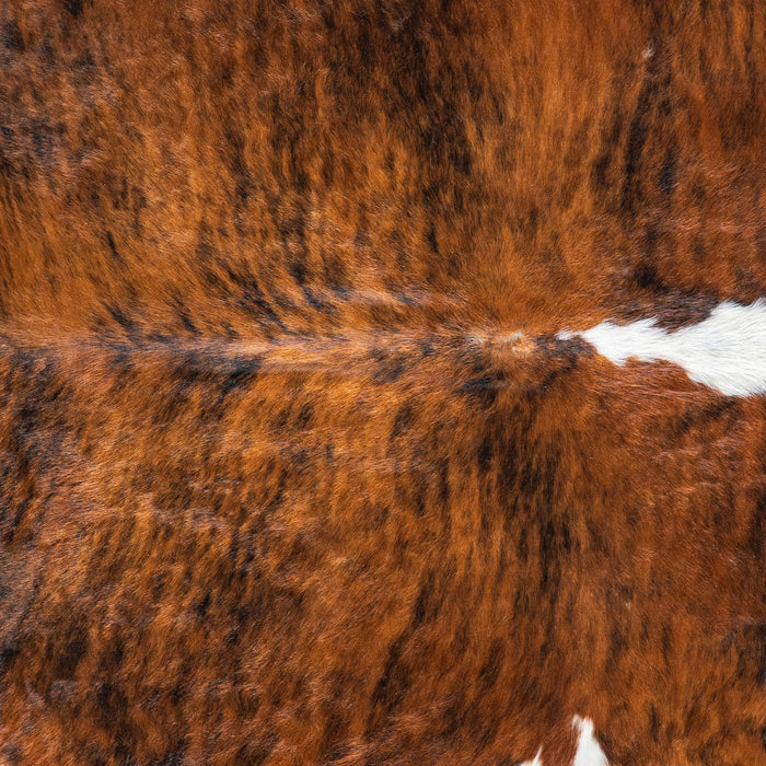 Brazilian Brindle White Belly and Backbone Cowhide Rug Size 7'0" L x 7'4" W 7412