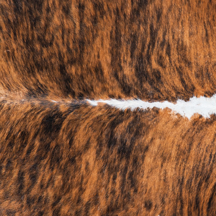 Brazilian Brindle White Belly and Backbone Cowhide Rug Size 7'3" L x 6'6" W 7416