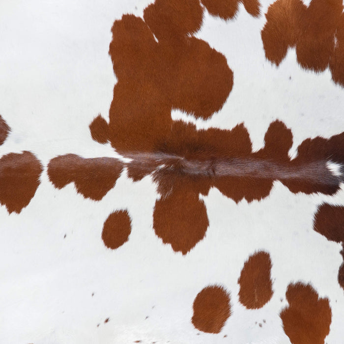 Brazilian Brown and White Cowhide Rug Size 8'0" L x 6'5" W 7689