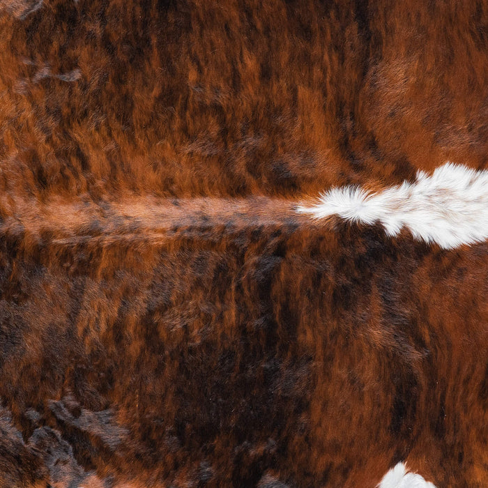 Brazilian Brindle White Belly and Backbone Cowhide Rug Size 7'3" L x 6'3" W 7847