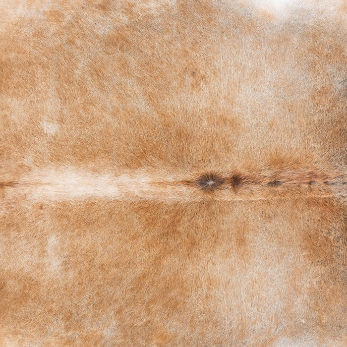 Brazilian Grey Palomino Cowhide Rug Size 7'1" L x 6'4" W 7898