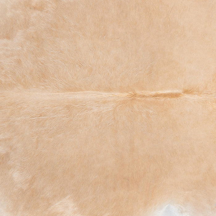 Brazilian Beige Cowhide Rug Size 6'6" L x 6'3" W 7928