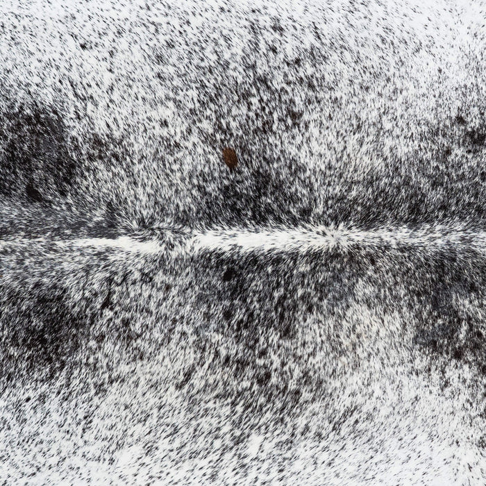 Brazilian Black Salt and Pepper Cowhide Rug Size 6'8" L x 5'8" W 7996