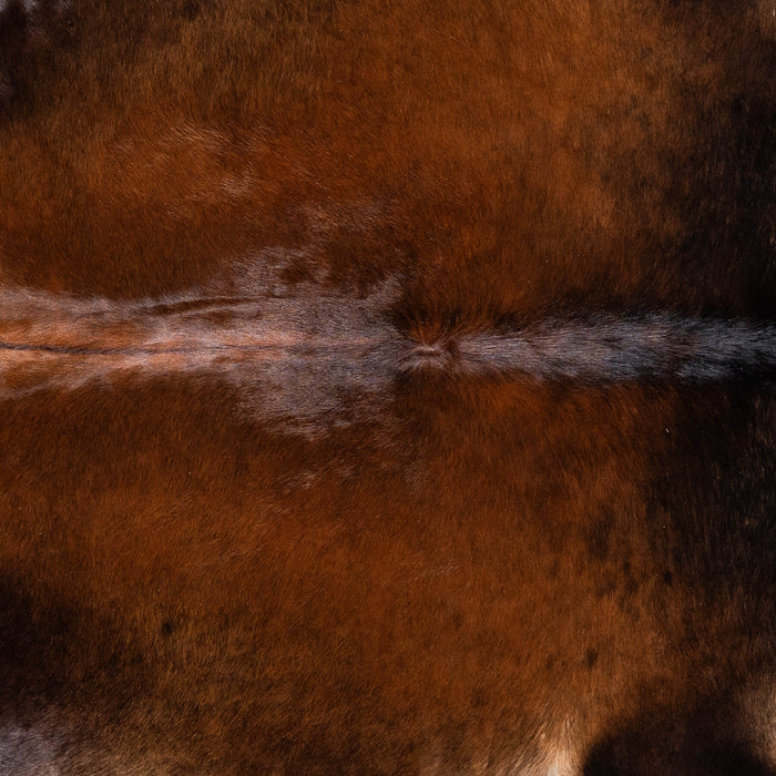 Brazilian Mahogany Cowhide Rug Size 7'2" L x 6'11" W 8086