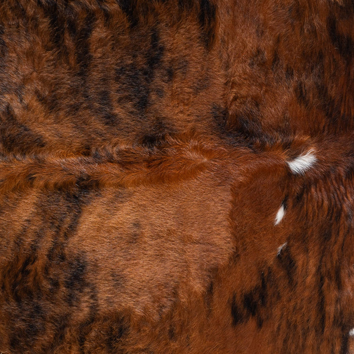 Tricolor Brindle Mix Cowhide Rug Size 6'11" L x 6'2" W 8196