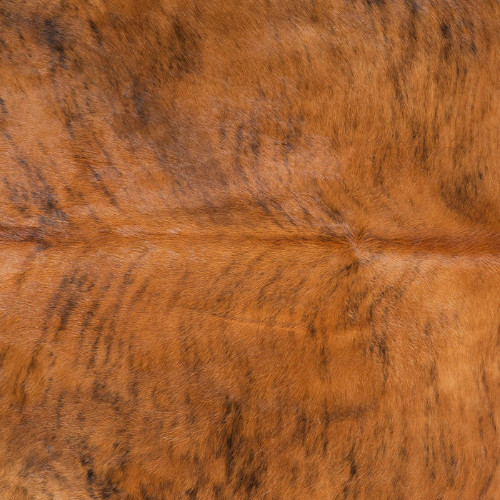 Brindle White Belly Cowhide Rug Size 7'10" L x 7'0" W 8213