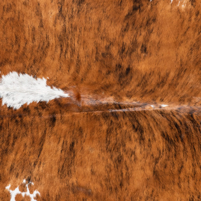 Brazilian Brindle White Belly and Backbone Cowhide Rug Size 7'0" L x 6'9" W 8775