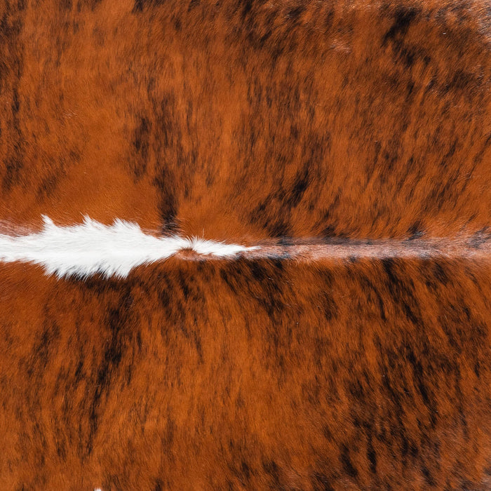 Brazilian Brindle White Belly and Backbone Cowhide Rug Size 7'0" L x 6'3" W 8786