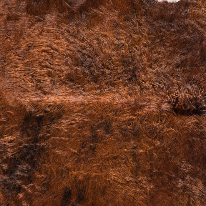 Brazilian Brindle White Belly Cowhide Rug Size 8'4" L x 7'3" W 8932