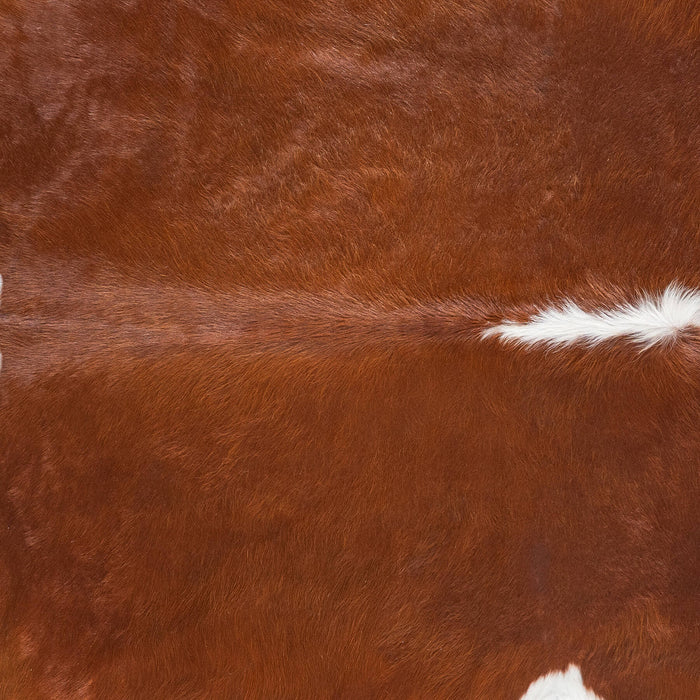 Brazilian Brown and White Cowhide Rug Size 8'4" L x 7'11" W 8965