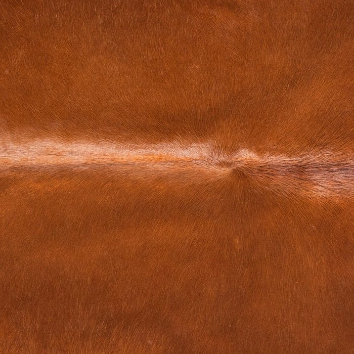 Brazilian Brown Cowhide Rug Size 7'9" L x 6'11" W 9004