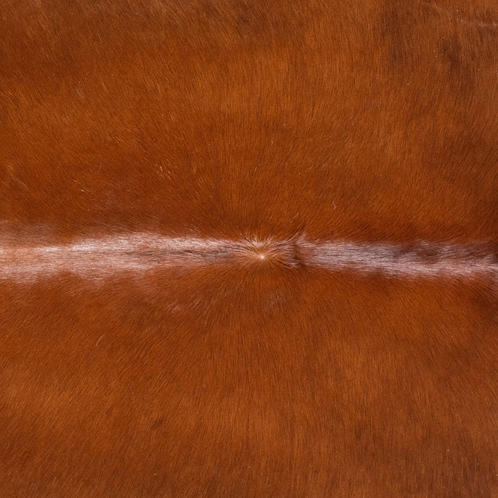 Brazilian Brown Cowhide Rug Size 7'.9" L x 7'1" W 9008