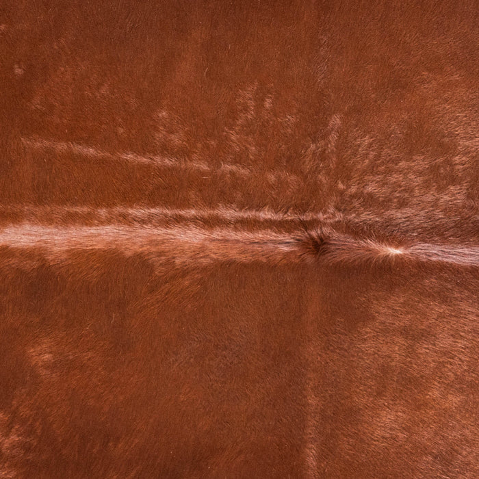 Brazilian Brown Cowhide Rug Size 7'2" L x 6'10" W 9011