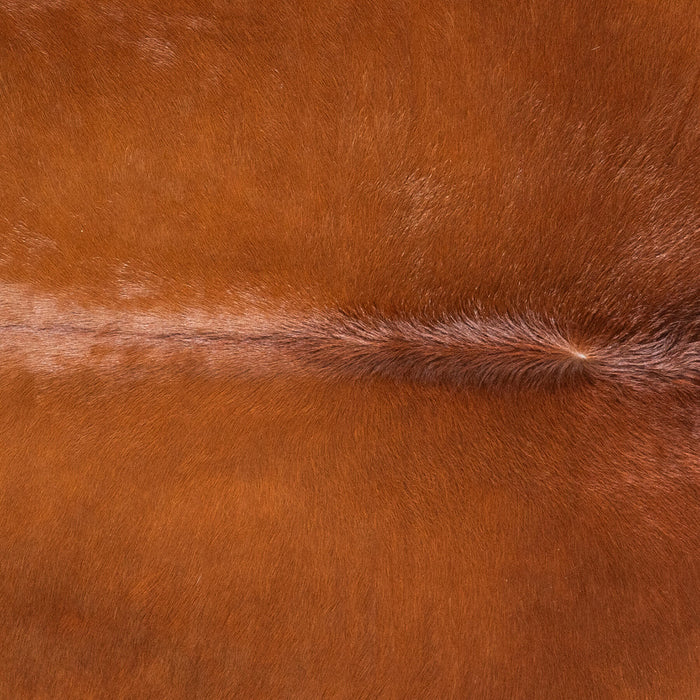 Brazilian Brown Cowhide Rug Size 6'8" L x 6'3" W 9017