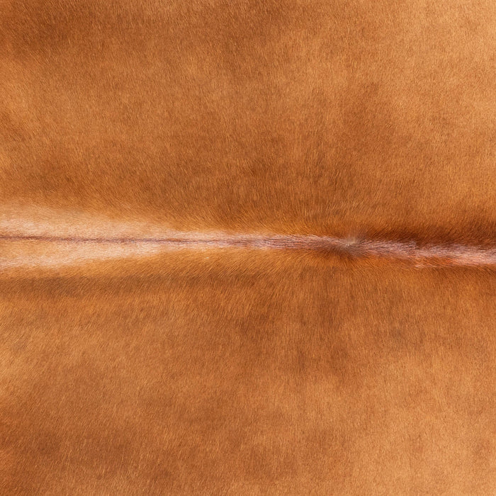 Brazilian Brown Cowhide Rug Size 6'8" L x 5'10" W 9019