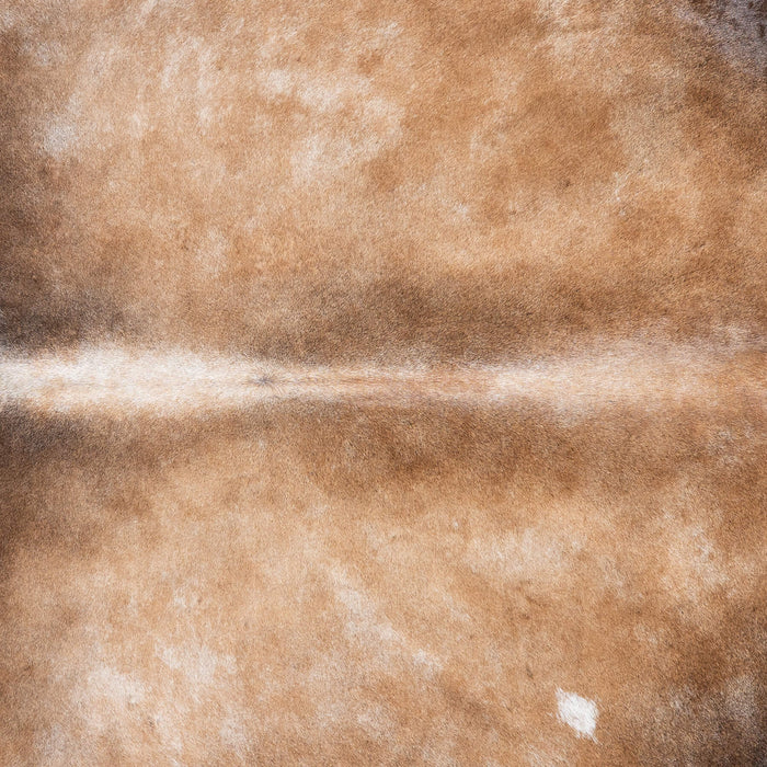 Brazilian Grey Palomino Cowhide Rug Size 8'5" L x 7'7" W 9229