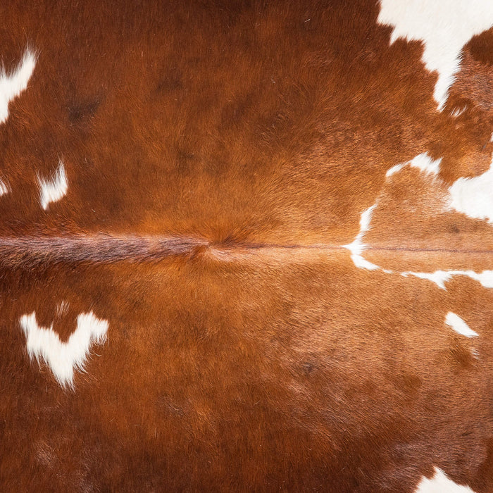 Brown and White Cowhide Rug Size 6'4" L x 5'1" W 9252