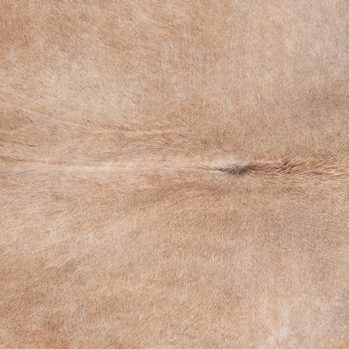 Brazilian Grey Palomino Cowhide Rug Size 8'1" L x 3'2" W 6194