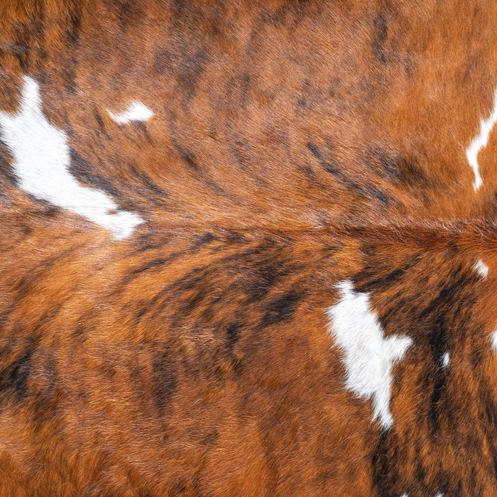 Tricolor Cowhide Rug Size 7'8" L x 7'1" W 9535
