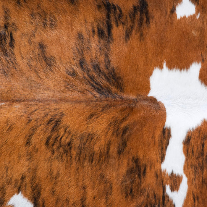 Tricolor Brindle Mix Cowhide Rug Size 7'3" L x 7'1" W 9553