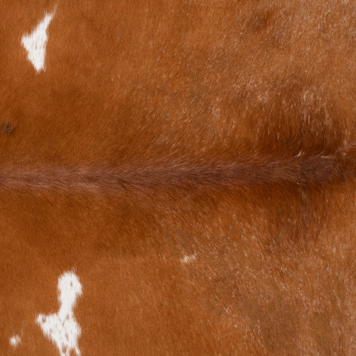 Brazilian Brown and White Cowhide Rug Size 7'0" L x 6'9" W 9557