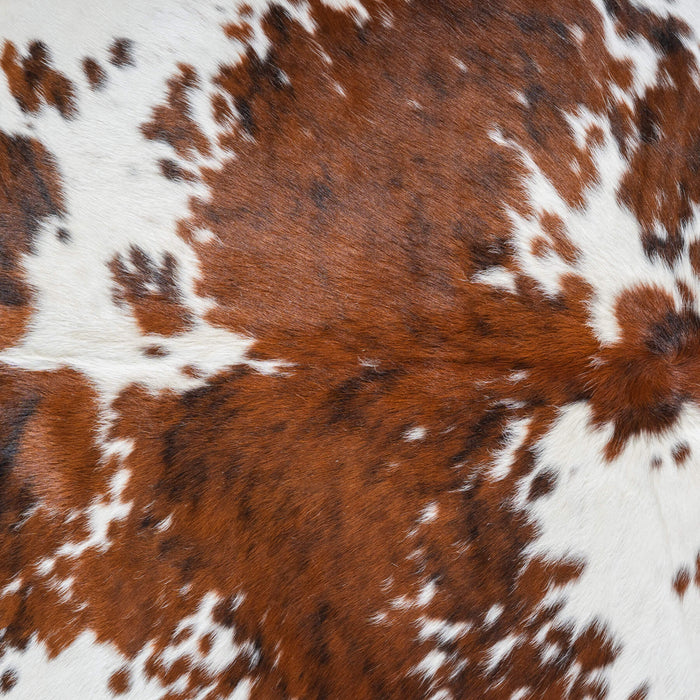 Tricolor Cowhide Rug Size 6'6" L x 5'10" W 9695