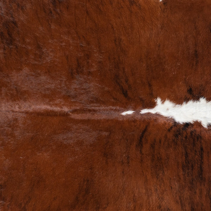 Brazilian Brindle White Belly and Backbone Cowhide Rug Size 8'6" L x 7'4" W 9952