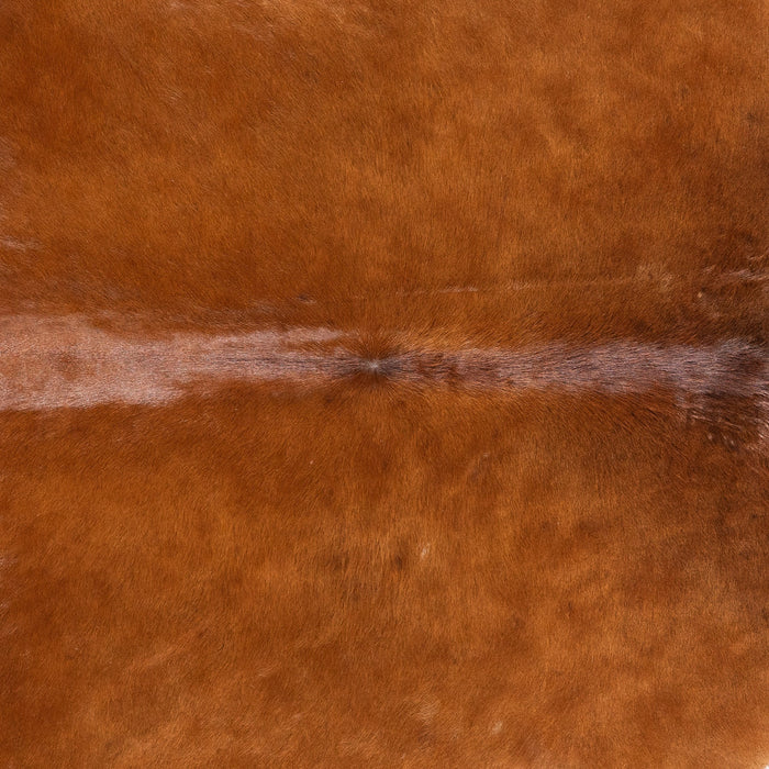 Brazilian Brown Cowhide Rug Size 8'4" L x 7'8" W 9978