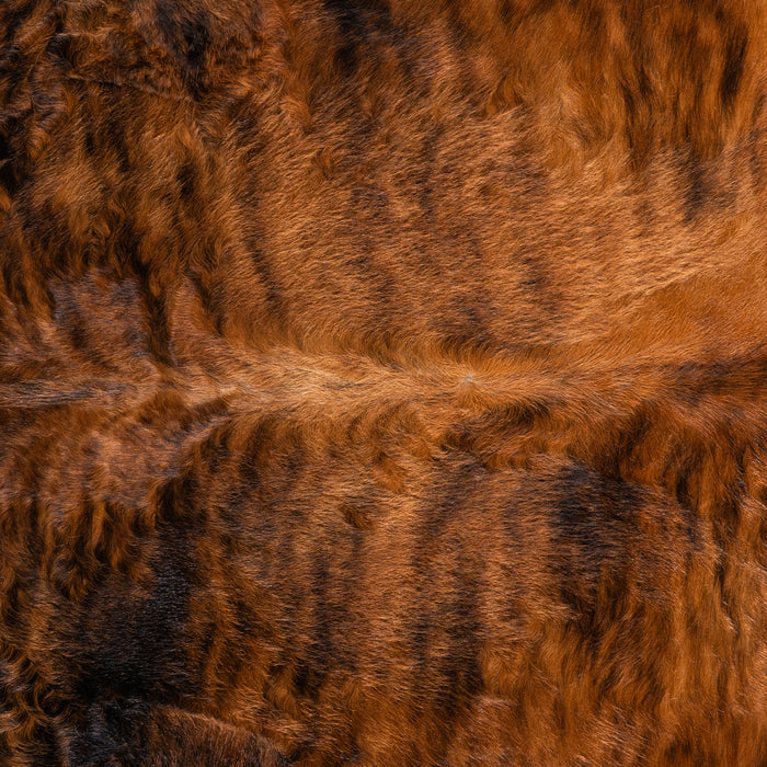 Brindle White Belly Cowhide Rug Size 7'9" L x 7'0" W 6202