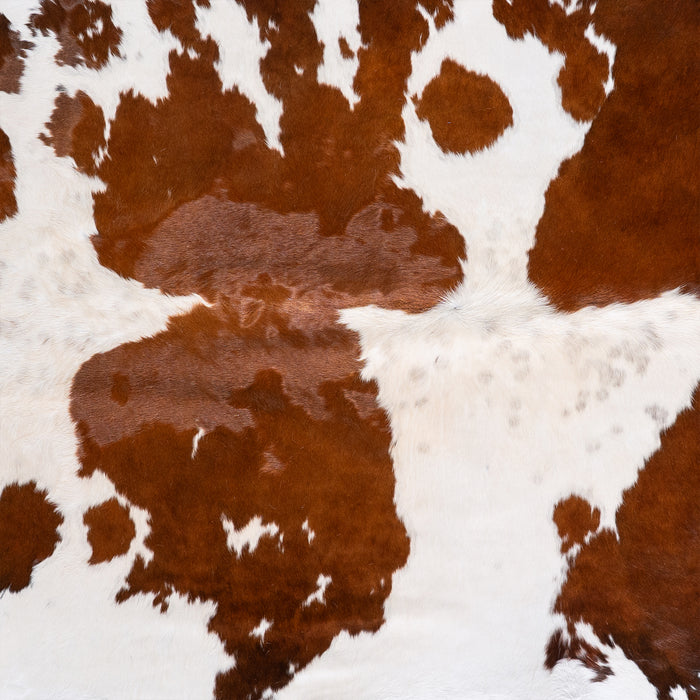 Brazilian Brown and White Cowhide Rug Size 8'4" L x 6'11" W 6006