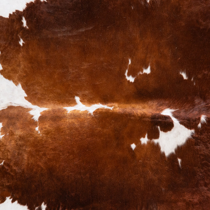 Brazilian Brown and White Cowhide Rug Size 7'11" L x 7'3" W 6009