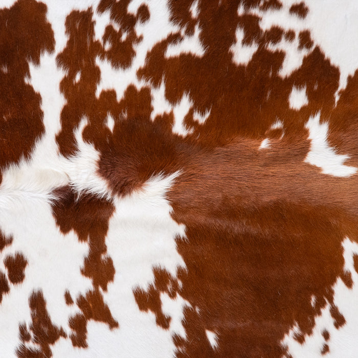Brazilian Brown and White Cowhide Rug Size 7'4" L x 5'9" W 6010