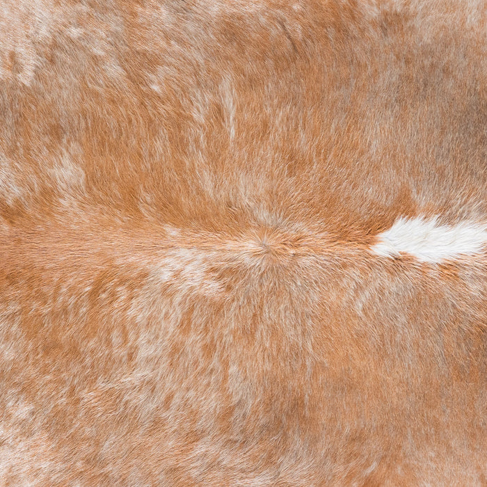 Brazilian Palomino and White Cowhide Rug Size 7'11" L x 6'9" W 4513