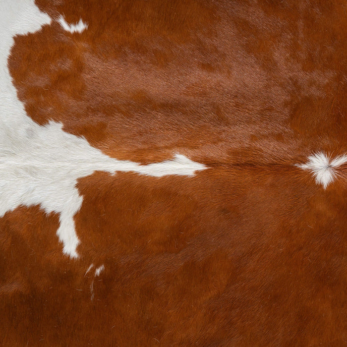 Brown and White Cowhide Rug Size 8'1" L x 6'8" W 6409