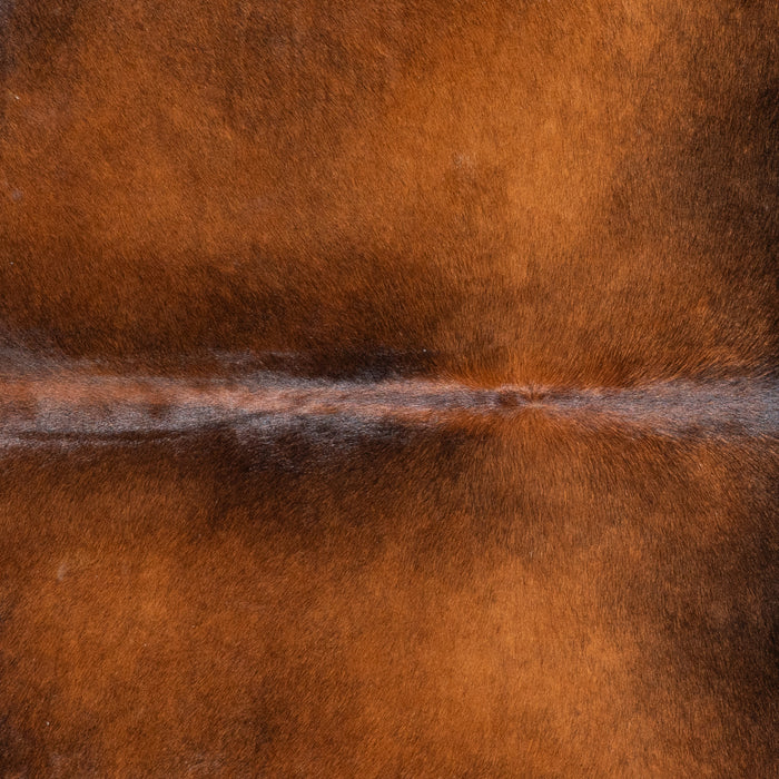 Brazilian Chocolate and White Cowhide Rug Size 7'3" L x 6'9" W 5824