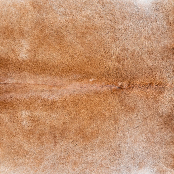 Brazilian Grey Palomino Cowhide Rug Size 6'10" L x 6'5" W 5124