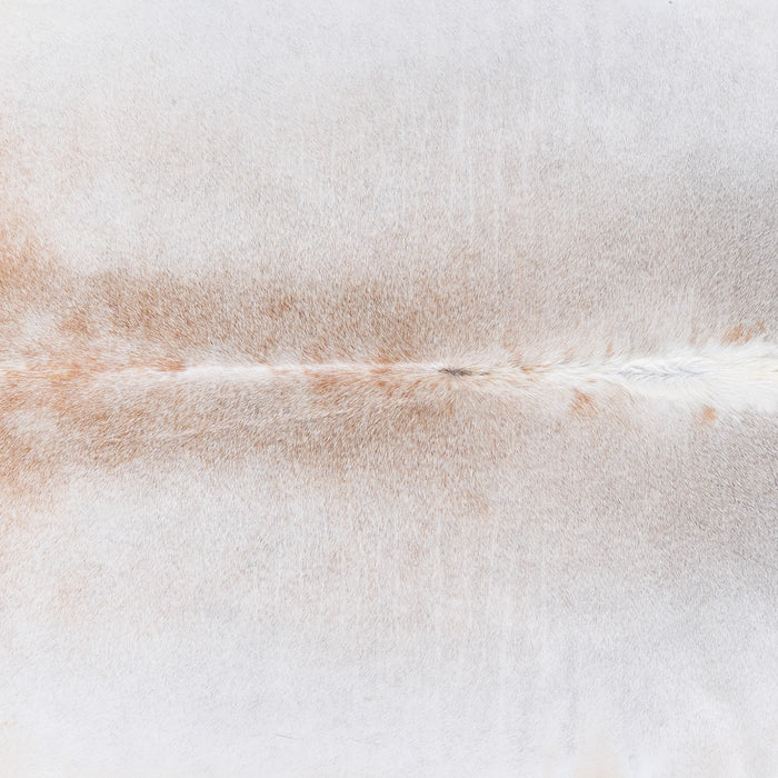 Brazilian Grey Palomino Cowhide Rug Size 7'7" L x 7'4" W 4522